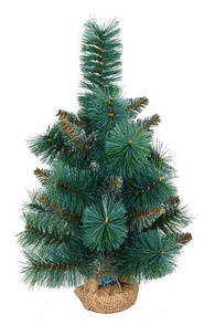 Сосна штучні