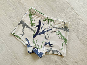 Дитячі труси боксери для хлопчика 2-9 років набір із 3 пар, арт. ТМ024, фото 5