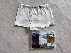 Труси боксери для хлопчика набір 3 пари від 2 до 10 років, арт. ТМ027, фото 3