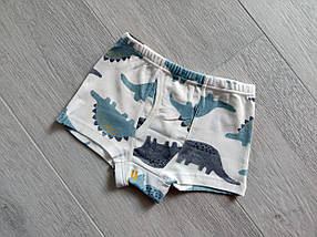 Труси боксери для хлопчика набір 3 пари від 2 до 10 років, арт. ТМ027, фото 5