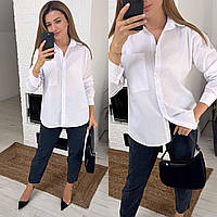 Жіноча стильна сорочка новинка 2024