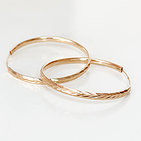 Срібні сережки