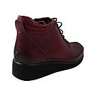 Черевики жіночі Kesim бордові натуральна шкіра, 41, фото 4