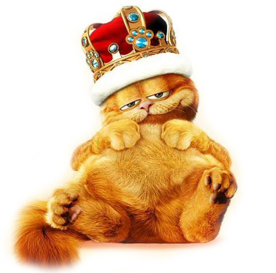 Задоволений кіт