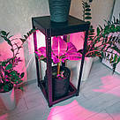 Уцінка! ГроуБокс відкритого типу 40х40х90 см / GrowBox, фото 7