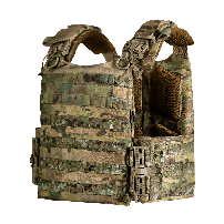 Плитоноски