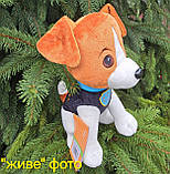 М`яка іграшка собака патріотична Патрон 1/2, 28*13*17см, сидячий (00114-702), фото 5