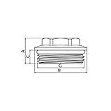 Заглушка з ущільнювальним кільцем Koer KF.P10M-R - 1" M (KR5046), фото 2