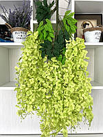 Штучна гліцинія. Гілки декоративної гліцинії (1 метр), фото 5