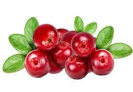 Ароматизатор Брусниця (свіжа ягода) харчовий рідкий жиророзчинний ідентичний натуральному