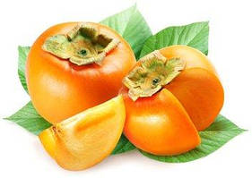 МОРОЗОСТІЙКА ХУРМА