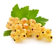 БІЛА СМОРОДИНА