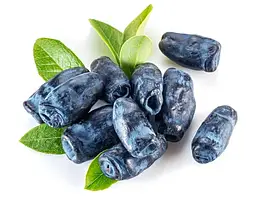 ЖИМОЛОСТЬ ЇСТІВНА