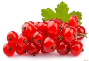 ЧЕРВОНА СМОРОДИНА