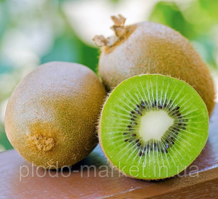 Ківі самозапильне "Генріх" (сорт з ароматом ананаса), фото 1