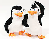 М'яка іграшка Пінгвін, герой мультфільму "Мадагаскар", 30 см Рядовий, фото 3