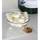 SWANSON L-LYSINE Stress INFECTIONS Herpes 500mg, фото 2