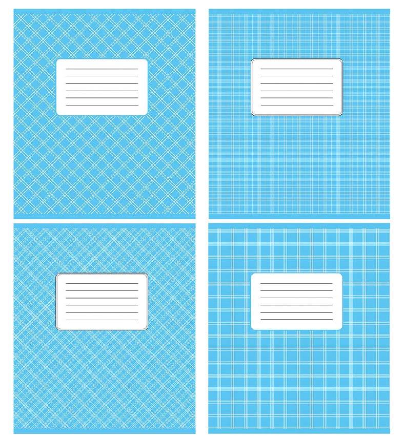 Зошит учнівський 12 аркушів коса лінія Поліграфіст Блакитний фон 12С 553