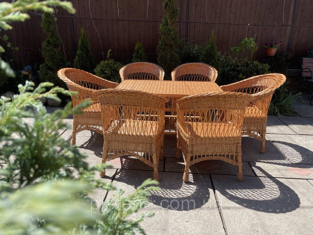 Набір з лози від українського виробника, фото 1