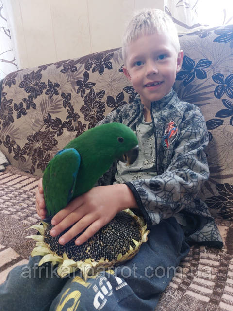 Сандра Клюс порно