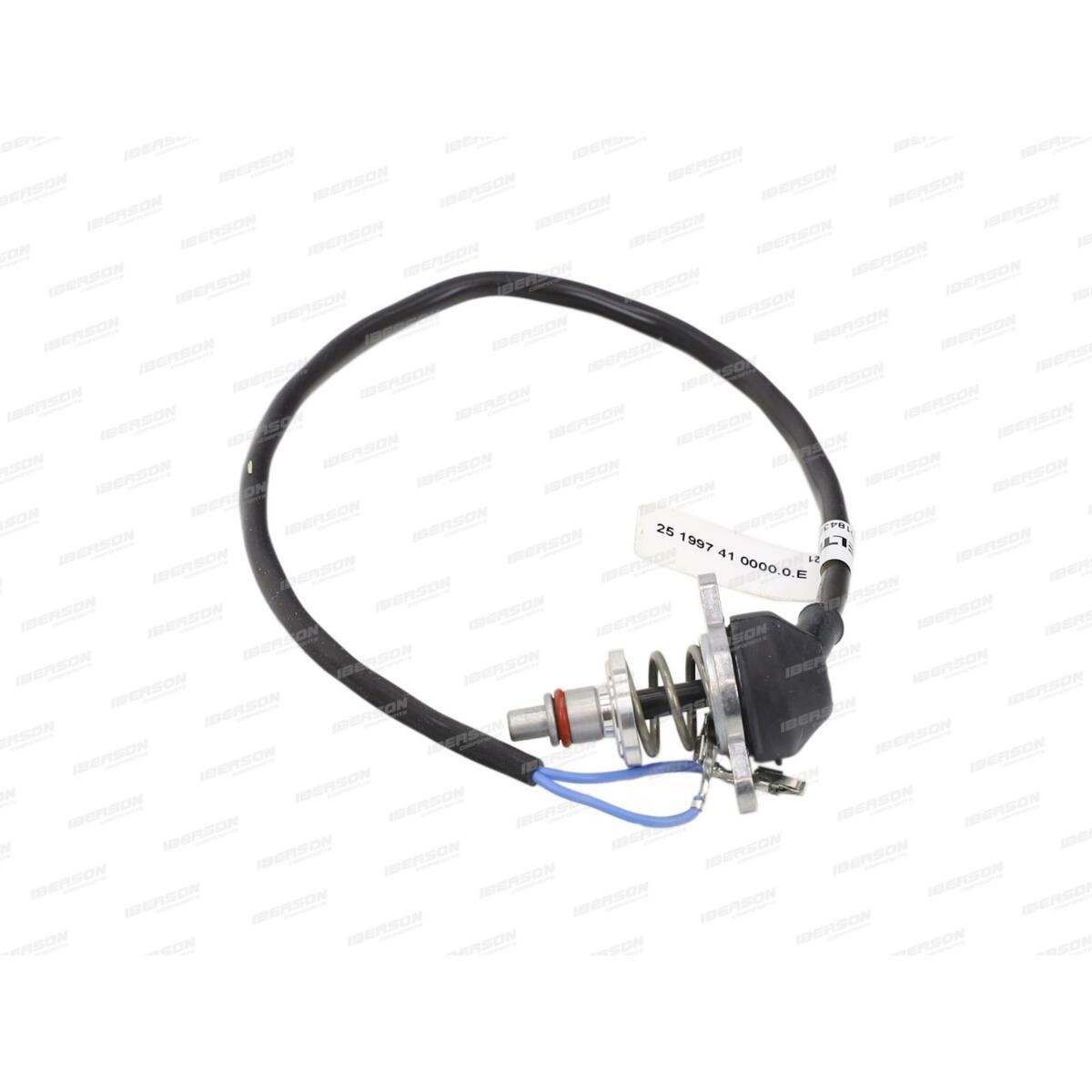Датчик перегріву Hydronic 10