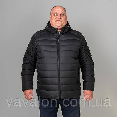 Куртка Єврозима Vavalon EZ-24 Бат. Black, фото 1
