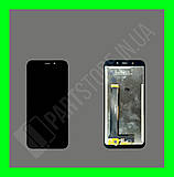 WP12