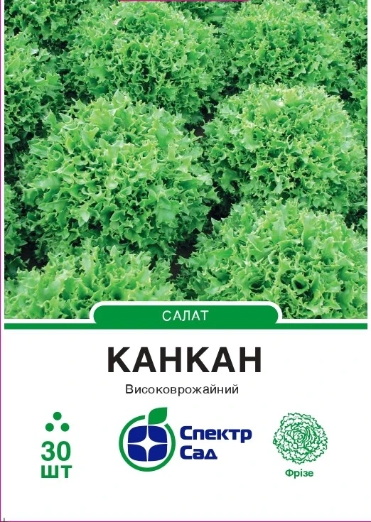 Салат Канкан, фрізе, ранньостиглий, 30 нас. Спектр-агро