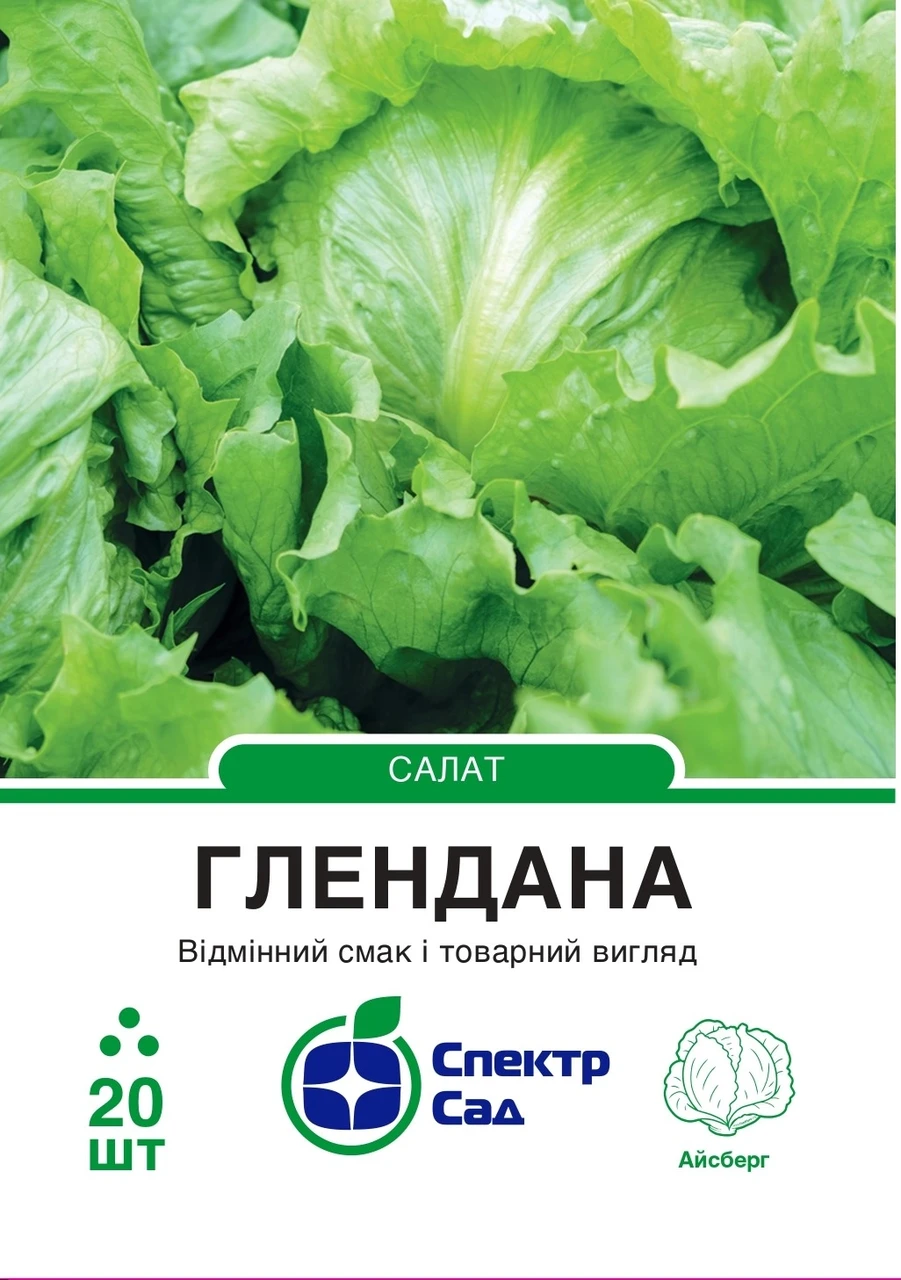 Салат Глендана, айсберг, зелений, 20 нас. Спектр-агро