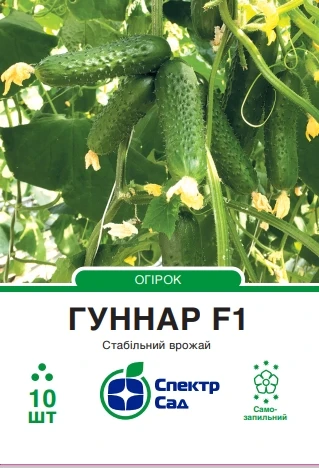 Огірок Гуннар F1, корнішон, партенокарпічний, 10 нас. Спектр-агро