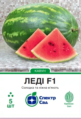 Кавун Леді F1, овальний, 5 нас. Спектр-агро