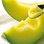 Диня Медова роса (зелена солодка диня) 20 шт, фото 3