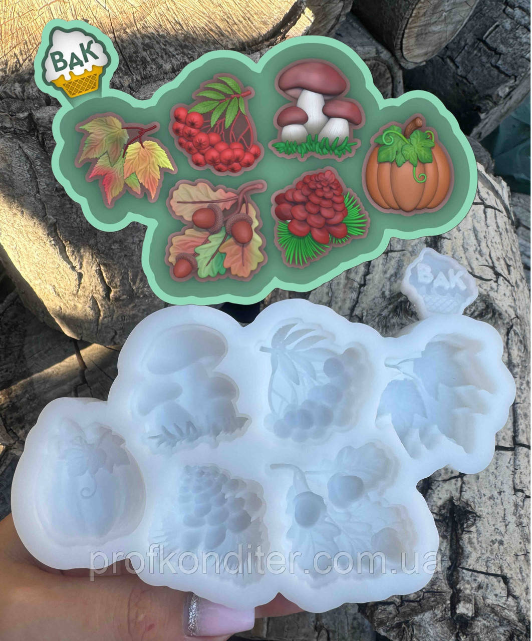 Ексклюзив. Силіконовий молд для ГІПСУ та ін "Осінь", фото 1