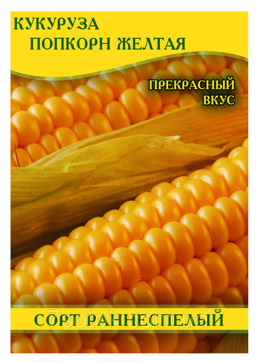 Семена кукурузы Попкорн желтый, 1кг - фото 1 - id-p437160739