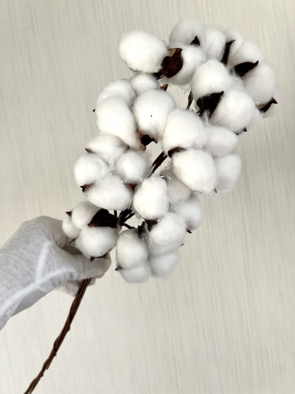 Декоративна бавовна ( 46 см, 10 штук), фото 1