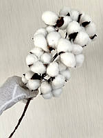 Гілка бавовни . Бавовна декоративна ( біла 58 см ), фото 6
