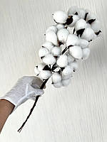 Декоративна бавовна ( 46 см, 10 штук), фото 9