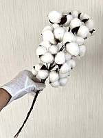 Декоративна бавовна ( 46 см, 10 штук), фото 8