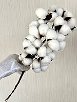 Гілка бавовни . Бавовна декоративна ( біла 58 см ), фото 2