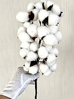 Гілка бавовни . Бавовна декоративна ( біла 58 см ), фото 7