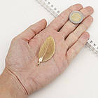 Кулон Натуральний Лист, Гальваніка, Кінцевик із Заліза, Світле Золото, 50~80x20~35x1мм, Отвір 3x6мм, 1 шт, фото 2