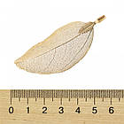 Кулон Натуральний Лист, Гальваніка, Кінцевик із Заліза, Світле Золото, 50~80x20~35x1мм, Отвір 3x6мм, 1 шт, фото 3