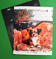 Тетрадь ученика 12 листов косая линия АСОРТИ