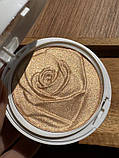 Хайлайтер Physicians Formula Rose All Day — Petal Glow (9.2 g), фото 2
