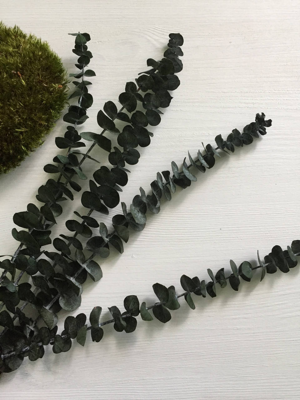 

Эвкалипт стабилизированный зелёный baby blue 35-45 см ( 5 веток )