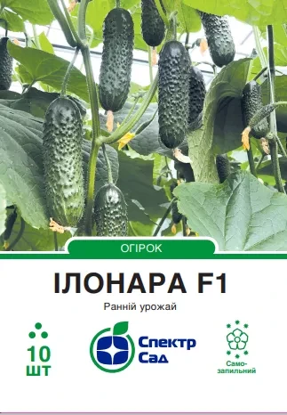 Огірок Ілонара F1 самозапильний, 10 шт, Спектр