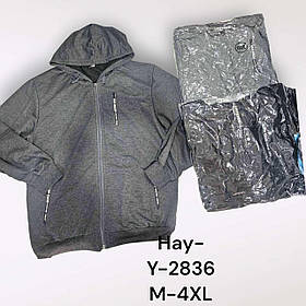 Пайта чоловіча, M-4XL рр,  № Hay-Y-2836