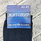 Шкарпетки чоловічі високі зимові з махрою р.42-45 асорті (002М1) ЖИТОМИР ДУКАТ 30038977, фото 5