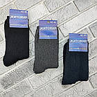 Шкарпетки чоловічі високі зимові з махрою р.42-45 асорті (002М1) ЖИТОМИР ДУКАТ 30038977, фото 2