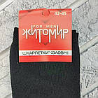 Шкарпетки чоловічі високі зимові з махрою р.42-45 чорні (001М36) ЖИТОМИР ДУКАТ 30038979, фото 5